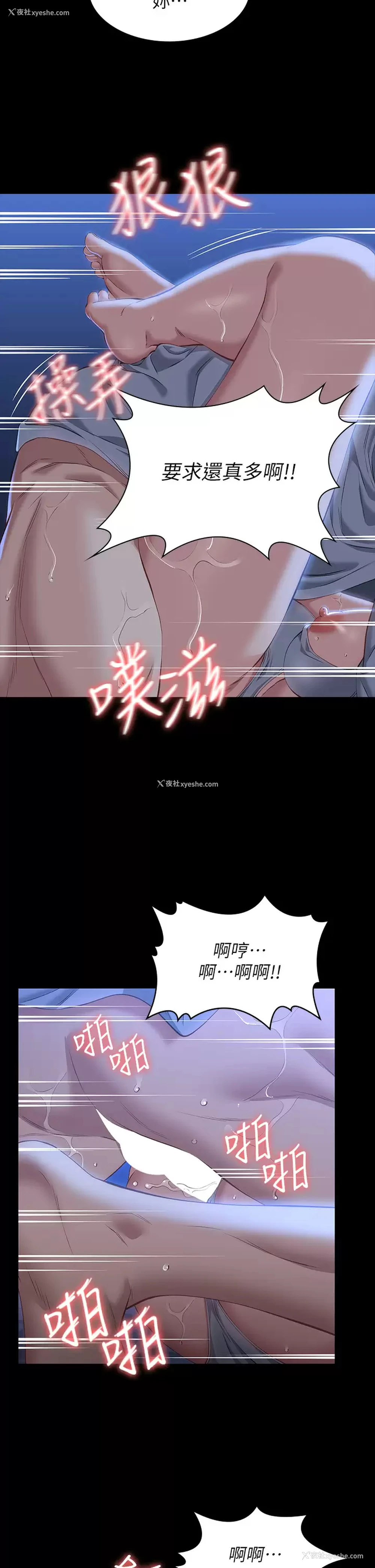 16P - 万能履历表