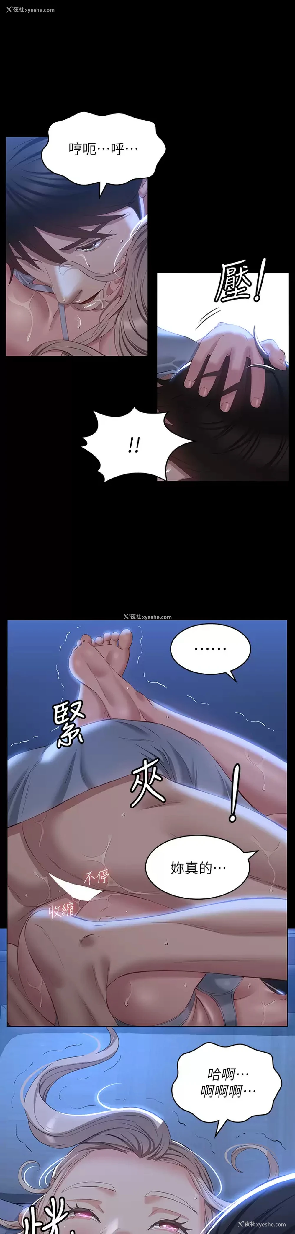 19P - 万能履历表