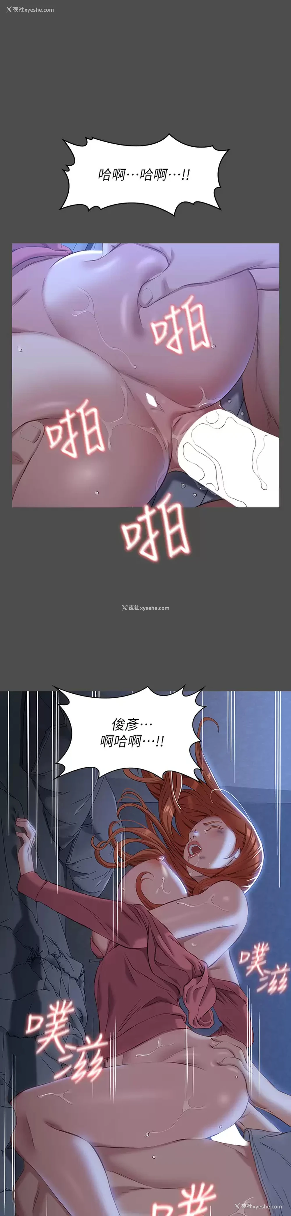 9P - 万能履历表