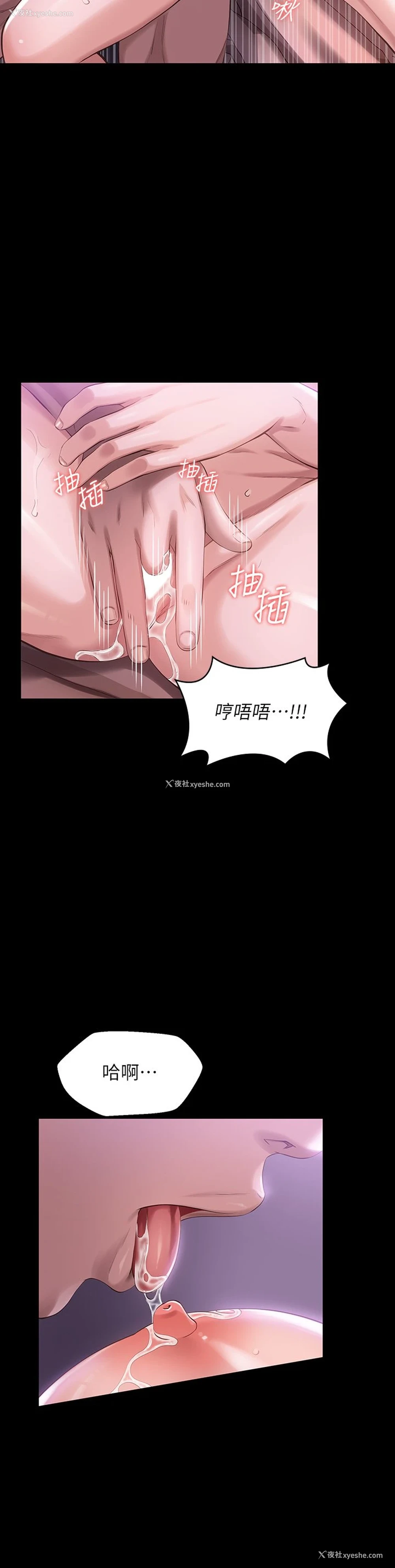 29P - 万能履历表