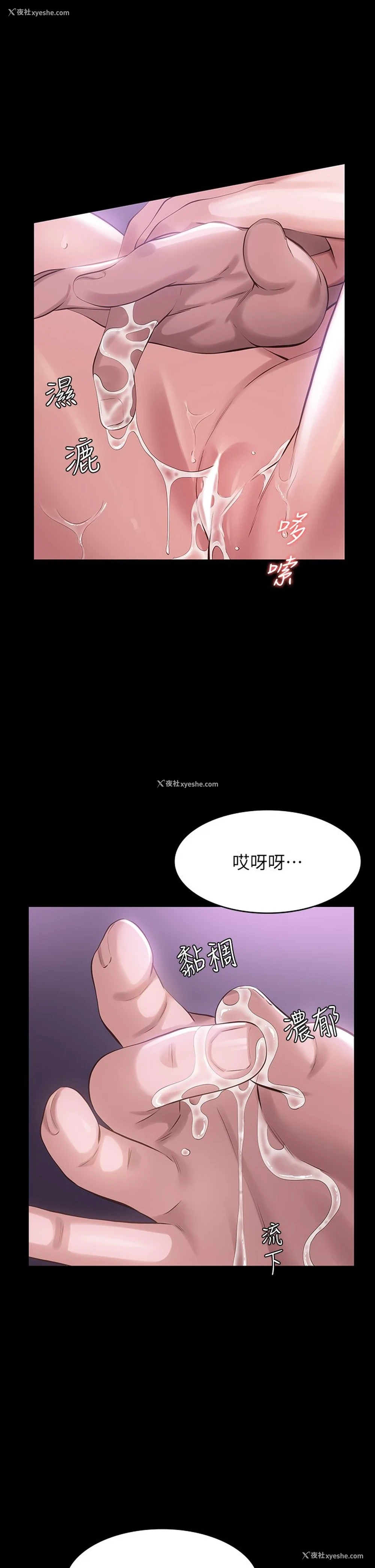 30P - 万能履历表