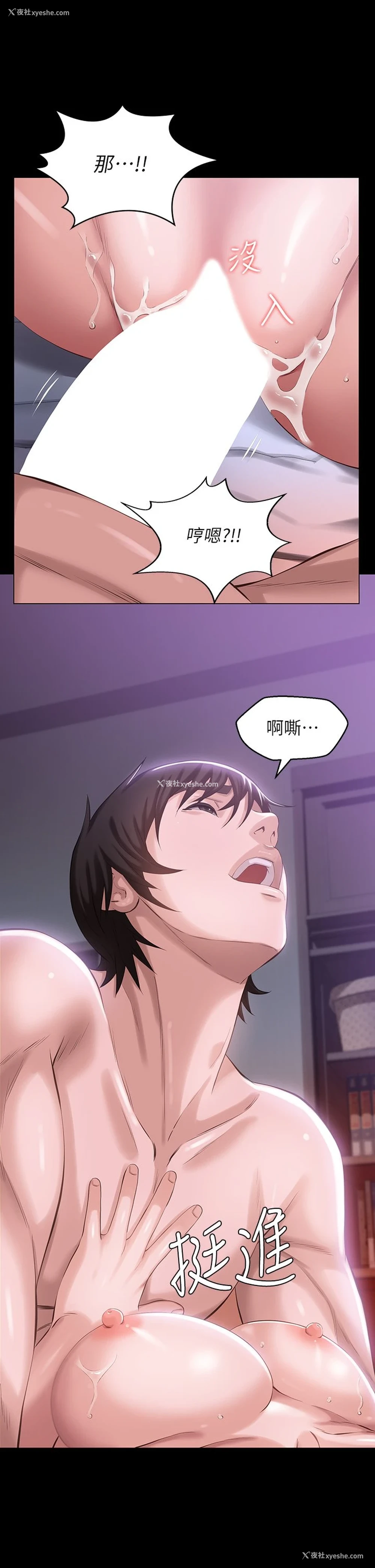 35P - 万能履历表