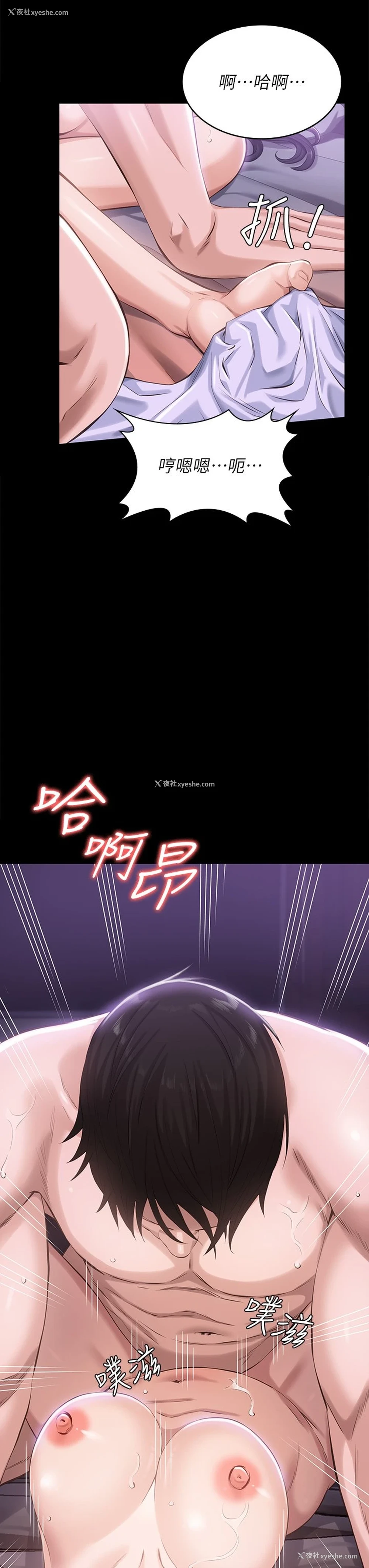 42P - 万能履历表