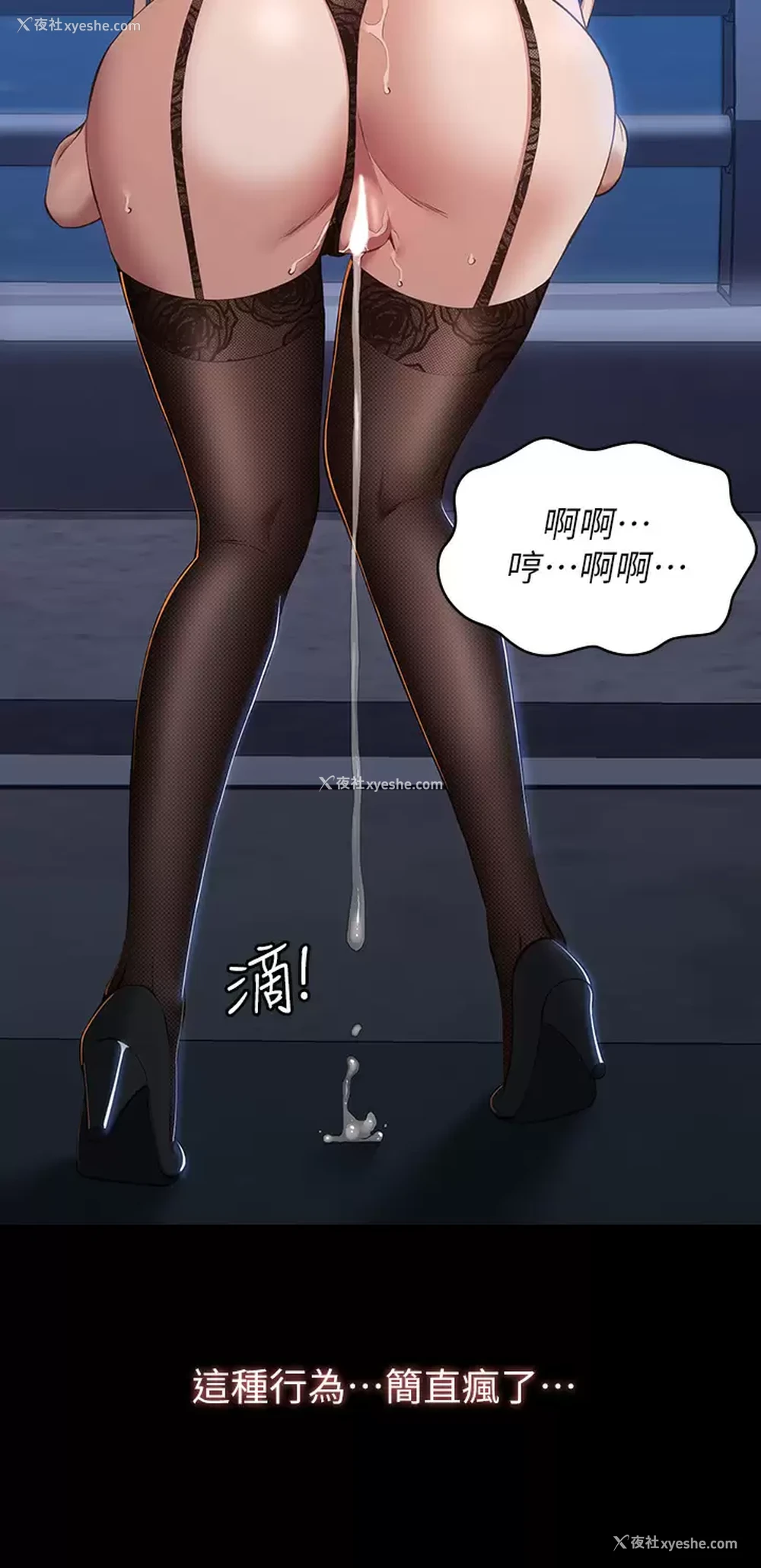 28P - 万能履历表