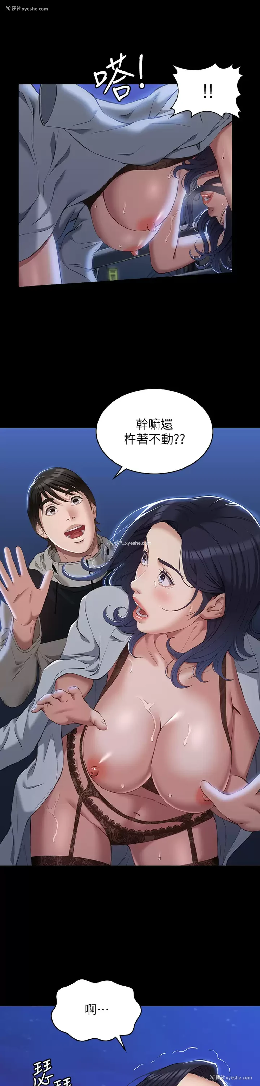 29P - 万能履历表