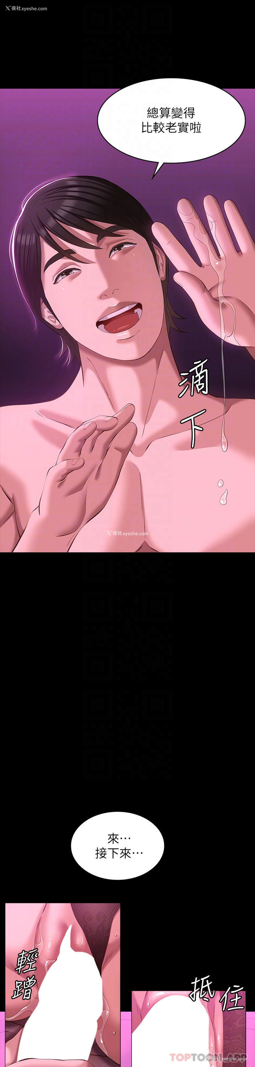 17P - 万能履历表