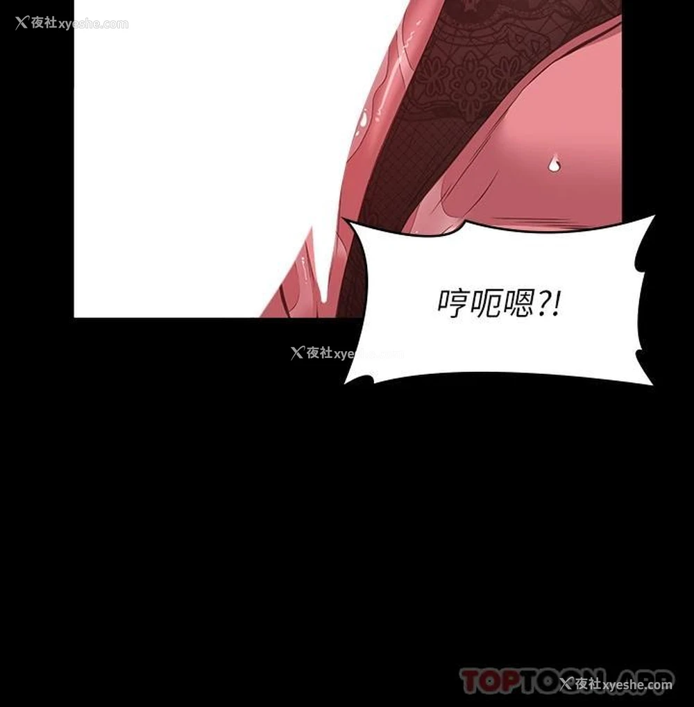 19P - 万能履历表