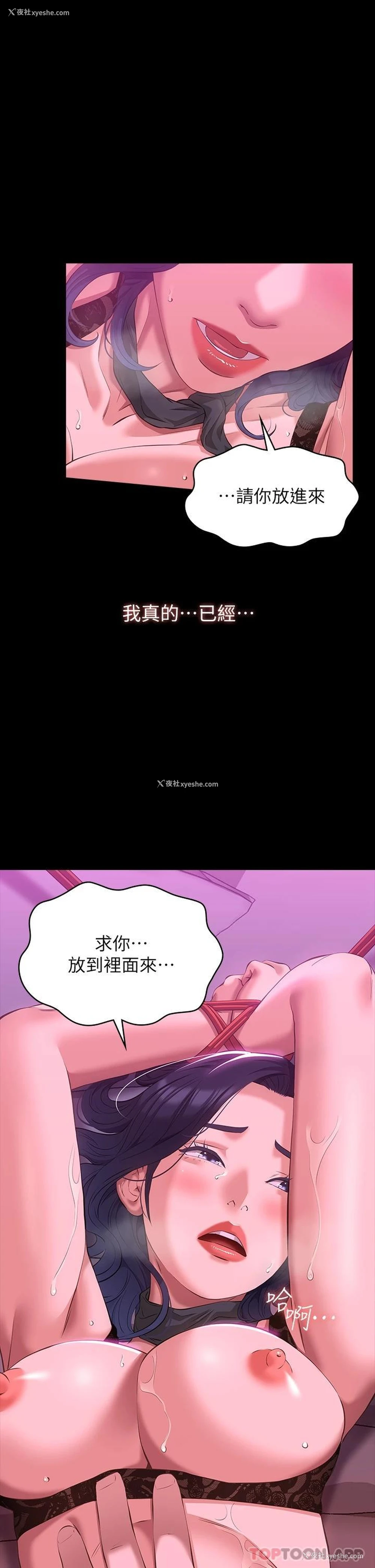 21P - 万能履历表