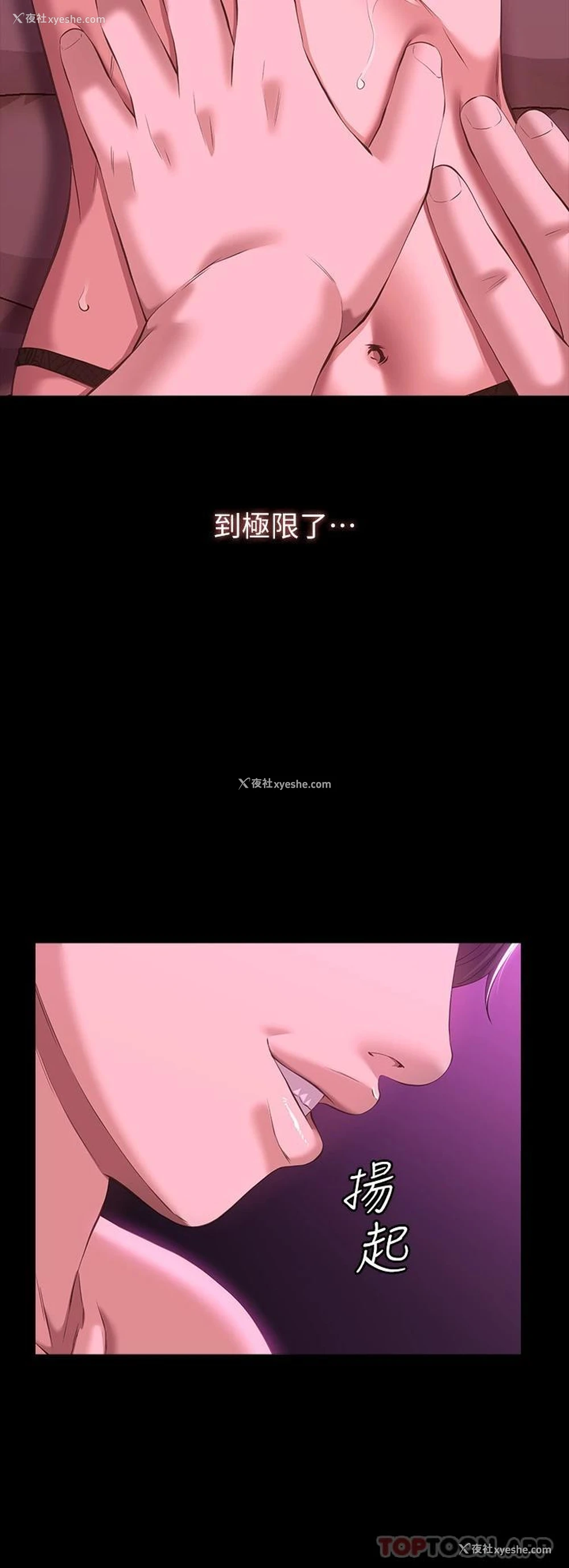 22P - 万能履历表