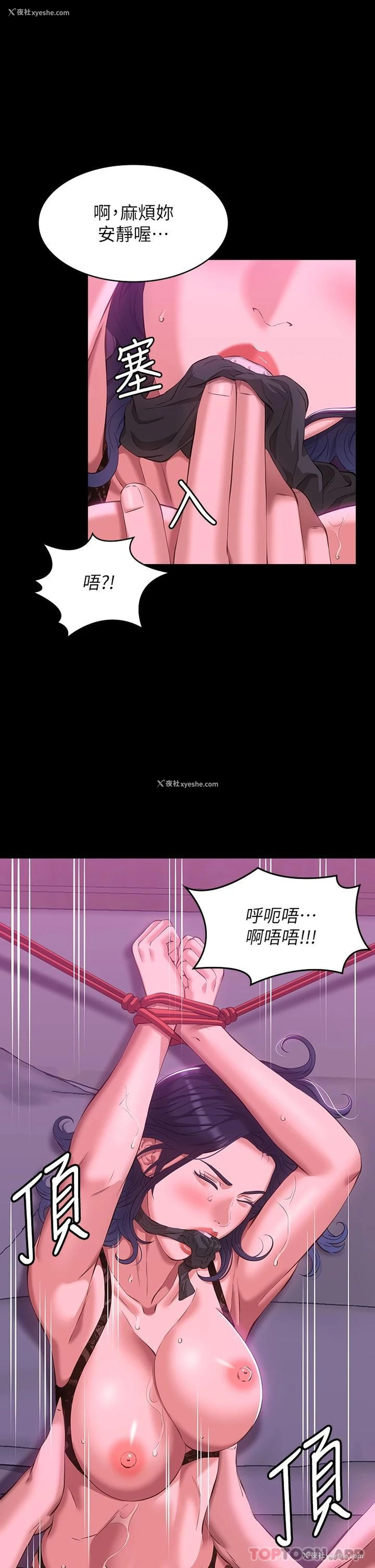 26P - 万能履历表