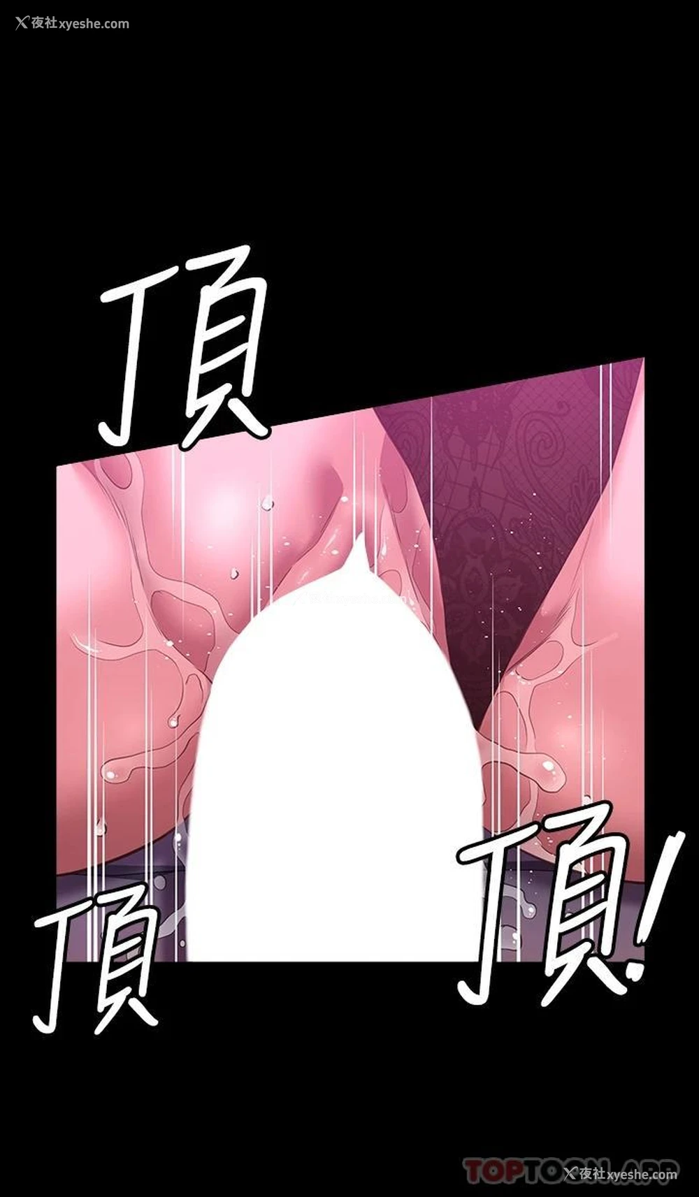 37P - 万能履历表