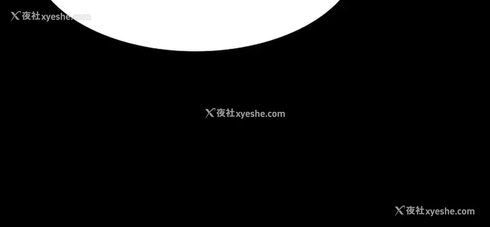 11P - 万能履历表