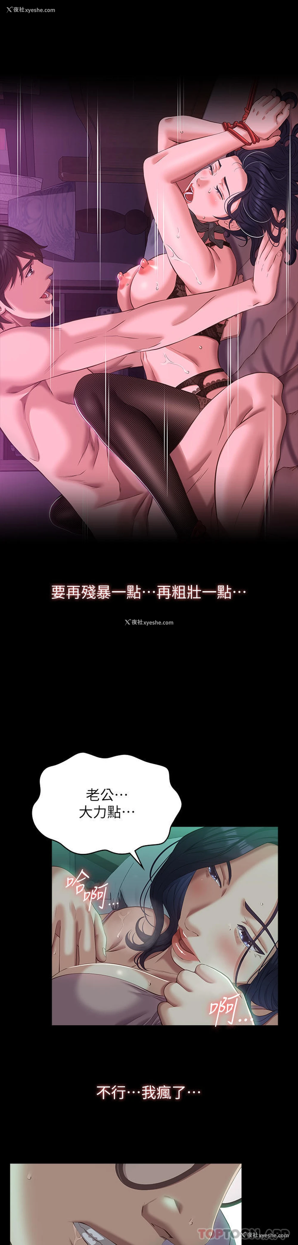 19P - 万能履历表