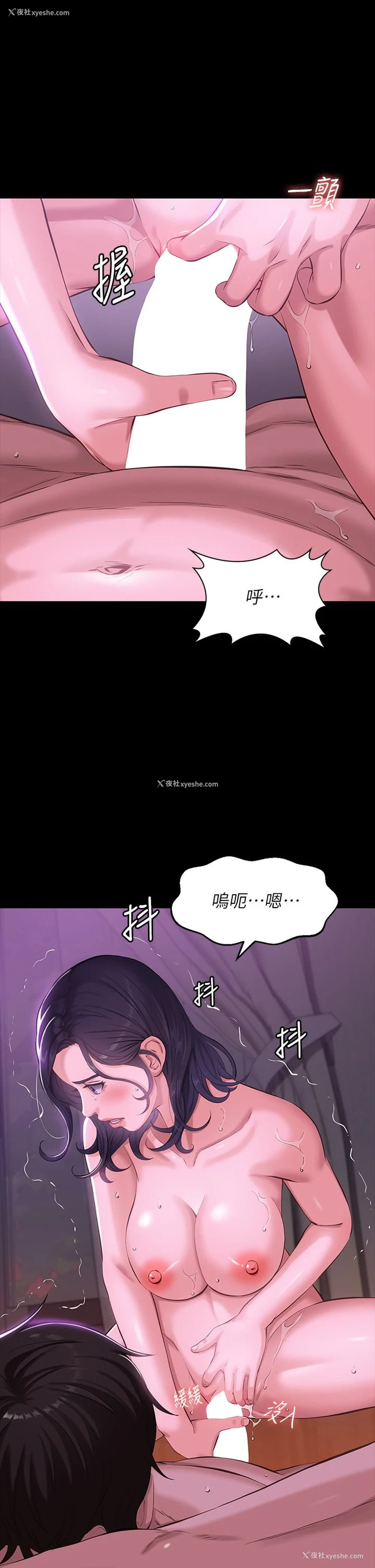 19P - 万能履历表