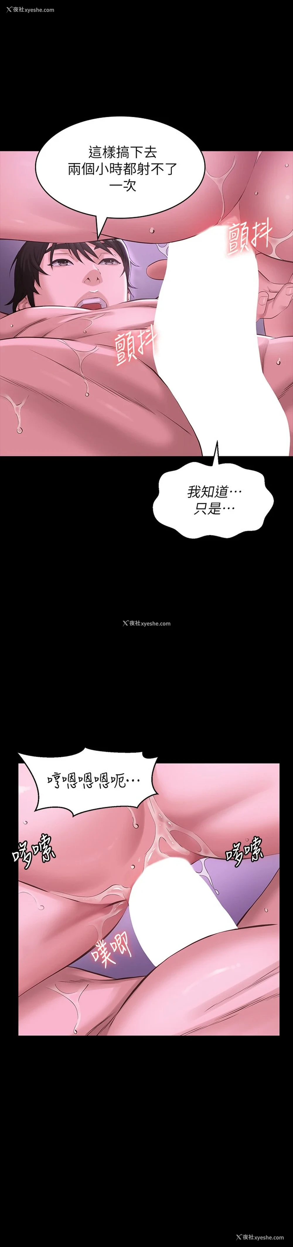 21P - 万能履历表