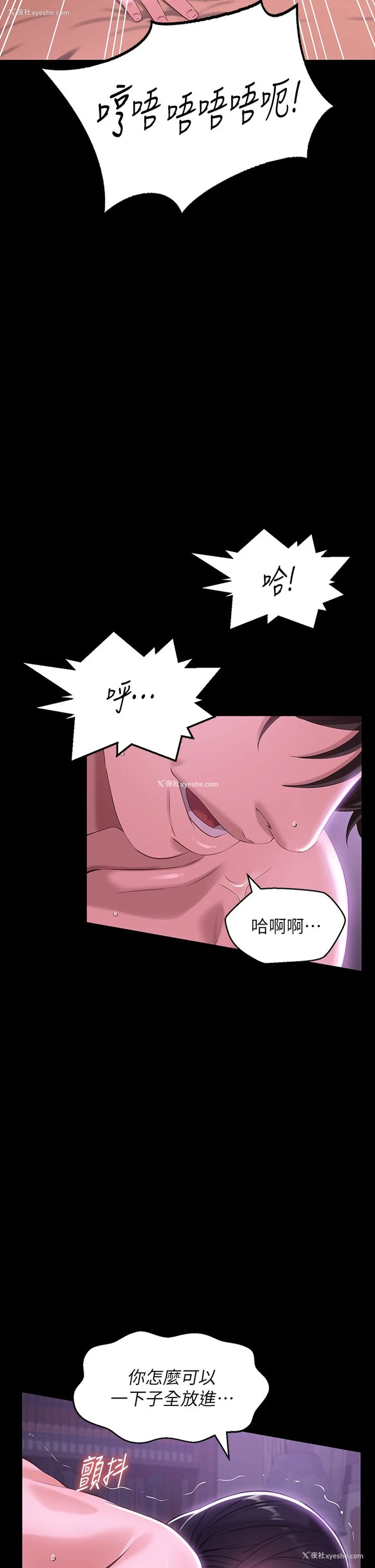 27P - 万能履历表