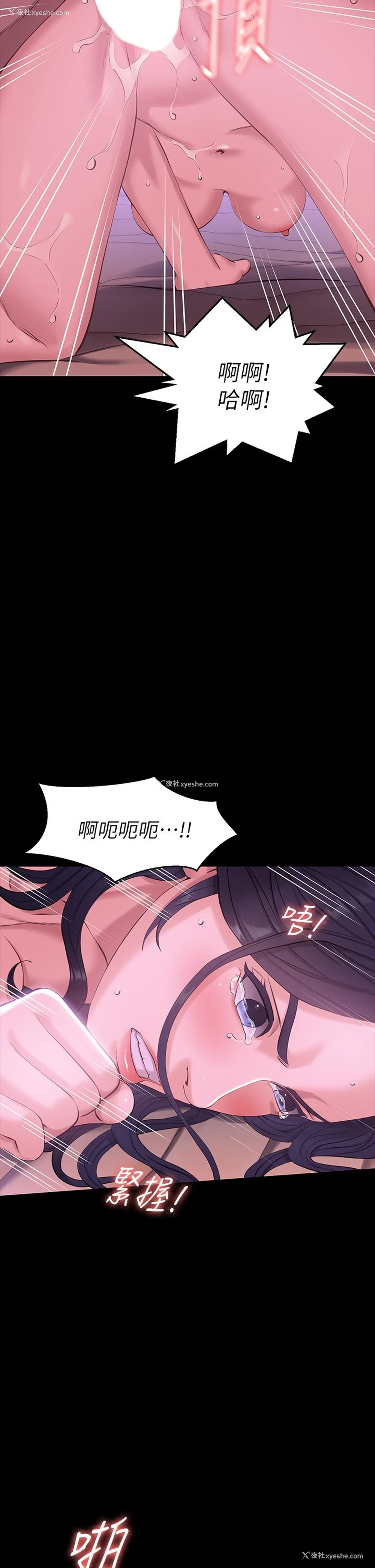 35P - 万能履历表