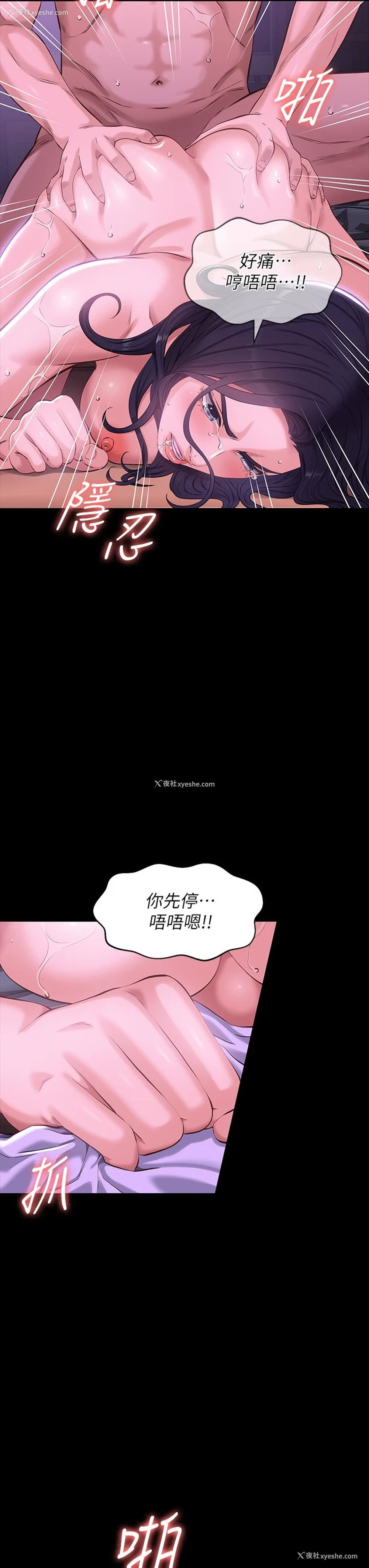 36P - 万能履历表