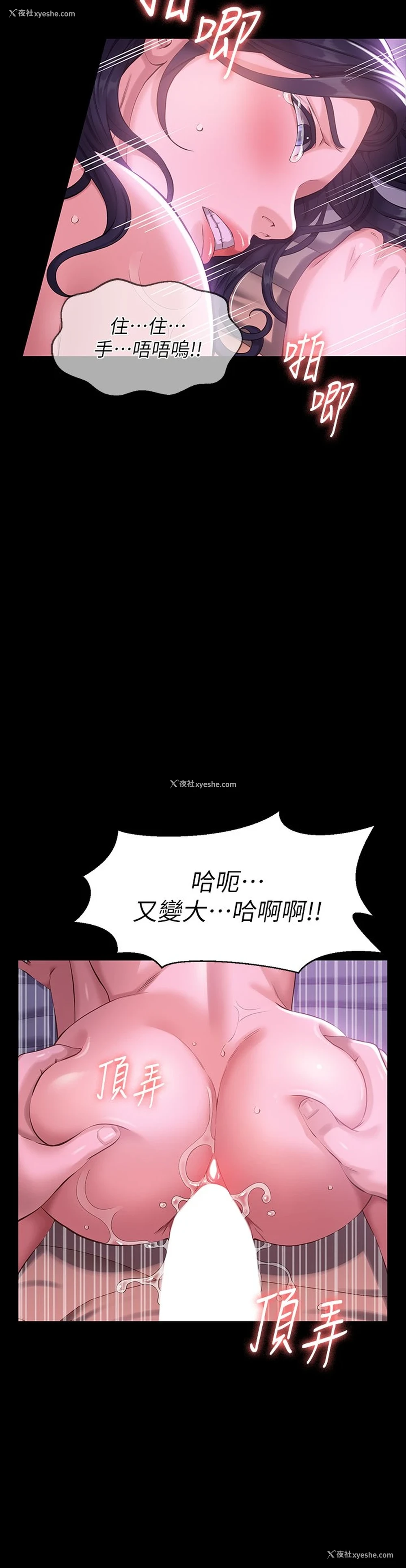 37P - 万能履历表