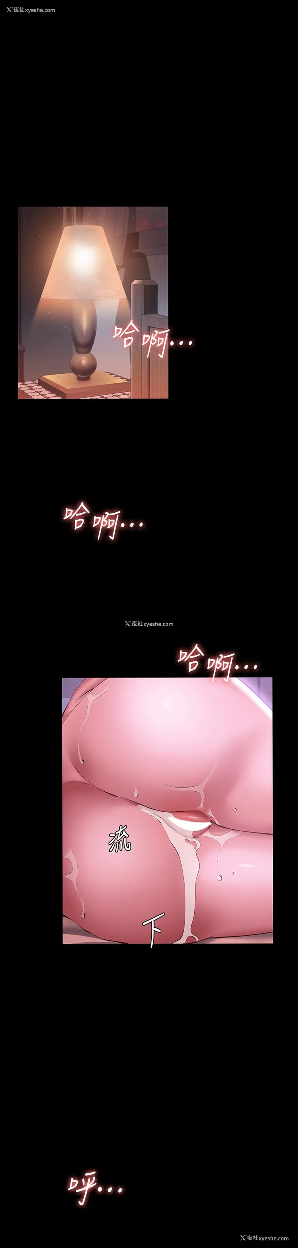 44P - 万能履历表