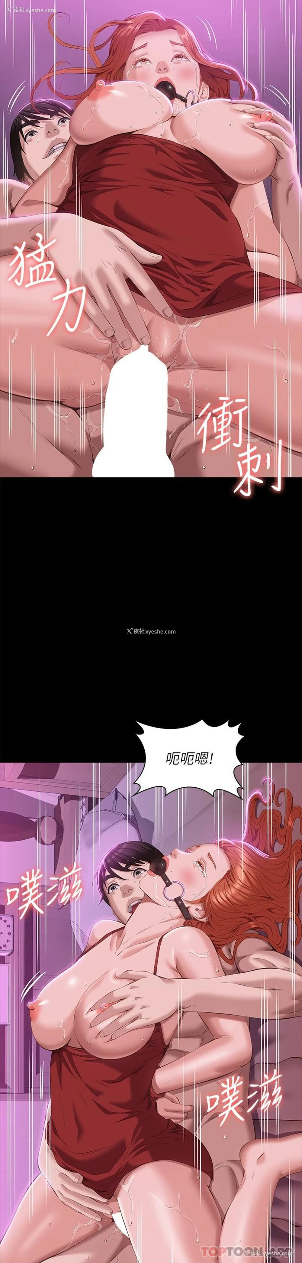 29P - 万能履历表