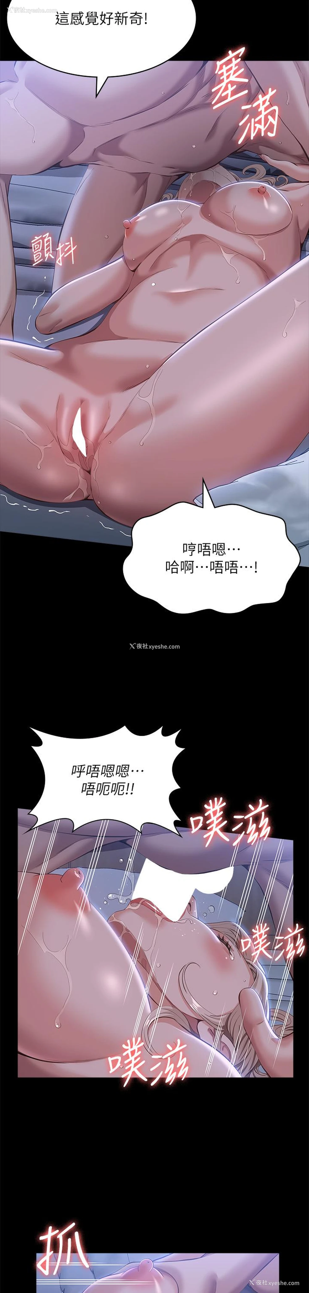 11P - 万能履历表