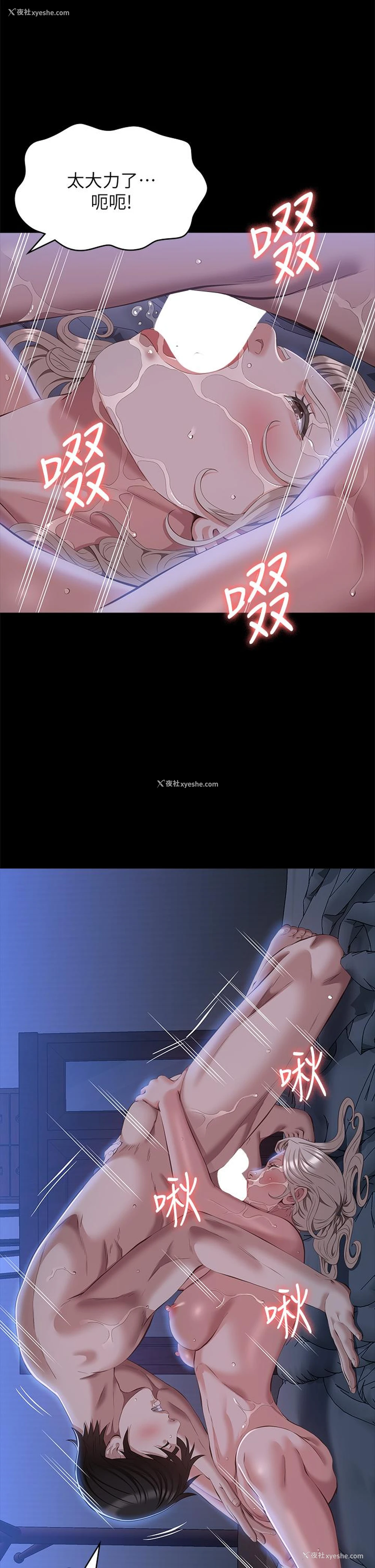 17P - 万能履历表