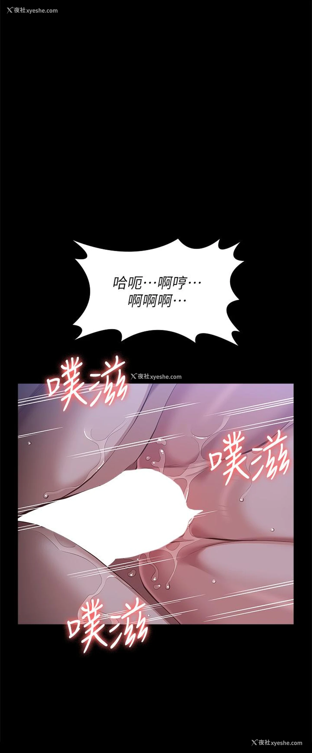 27P - 万能履历表