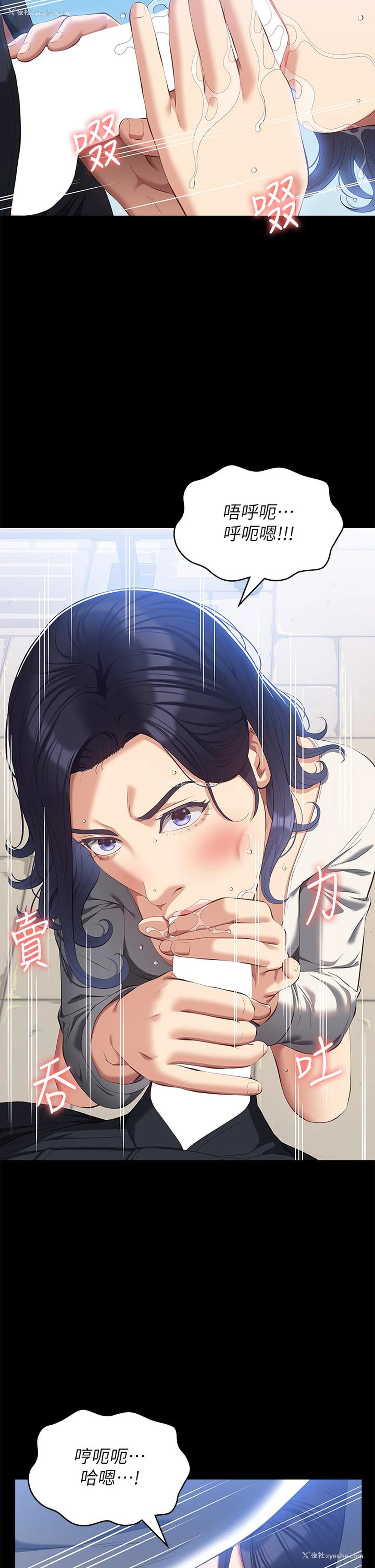 11P - 万能履历表