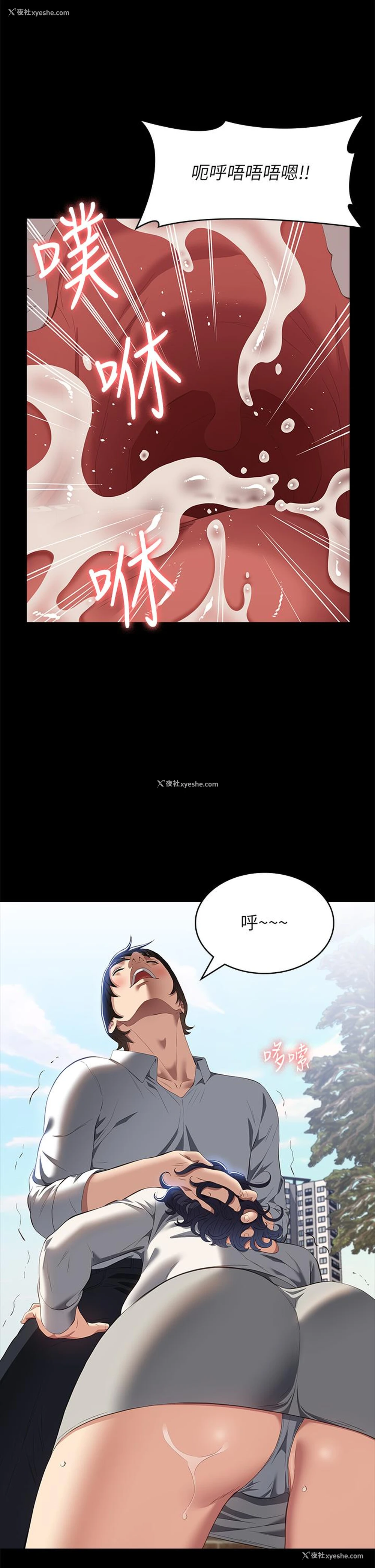 16P - 万能履历表