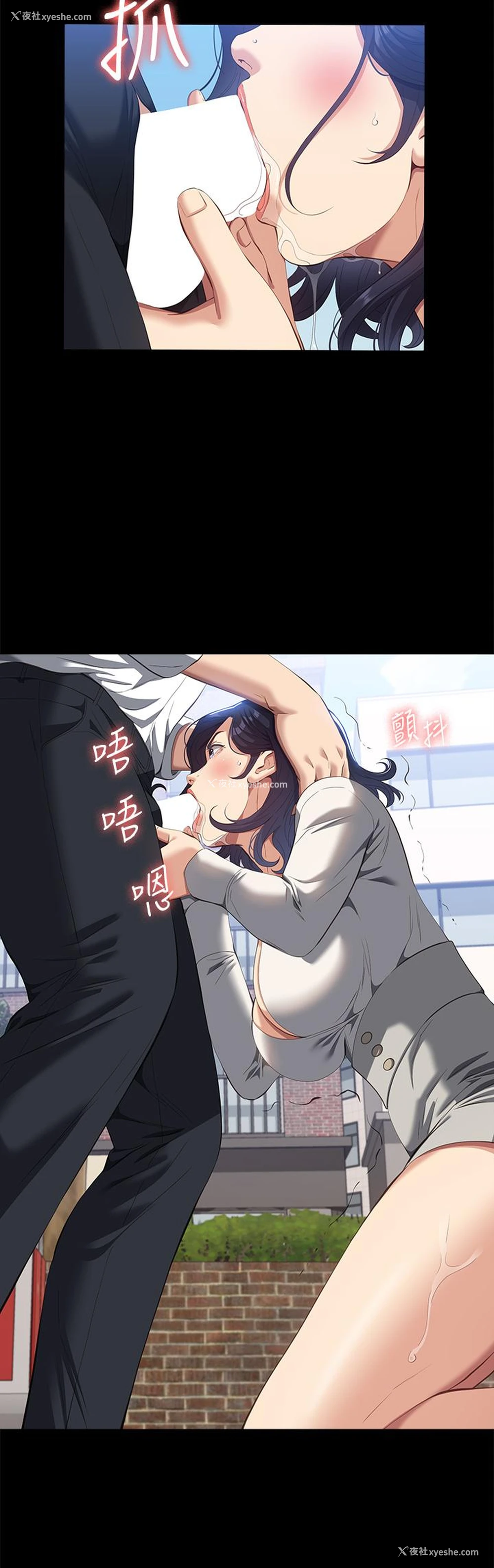 9P - 万能履历表