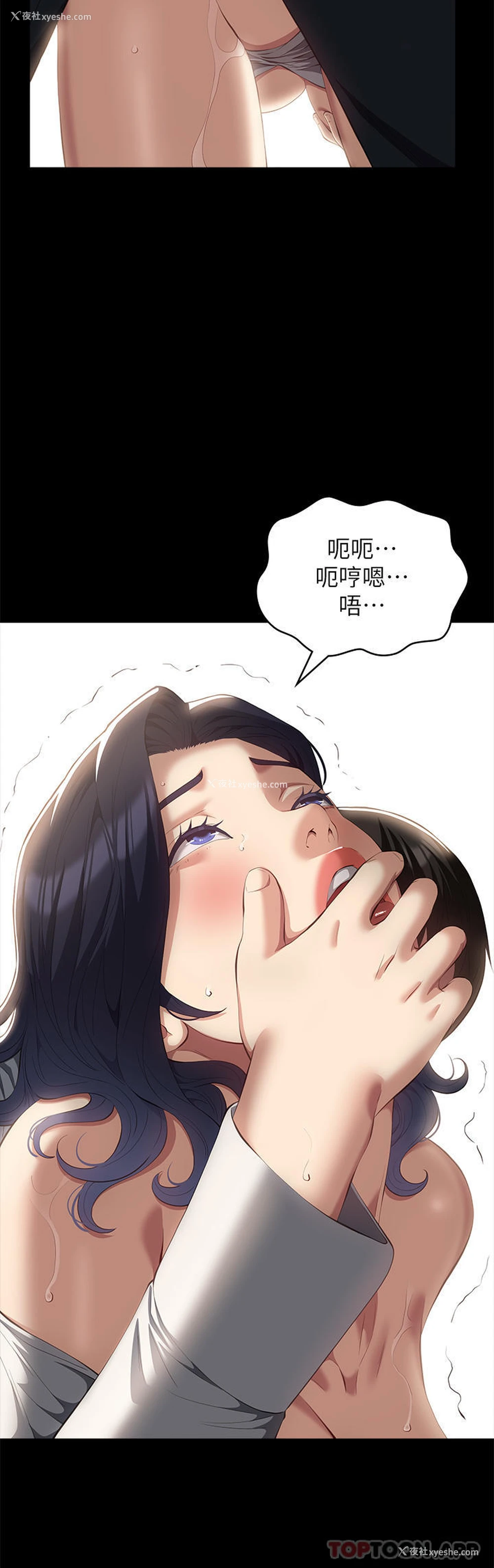 14P - 万能履历表
