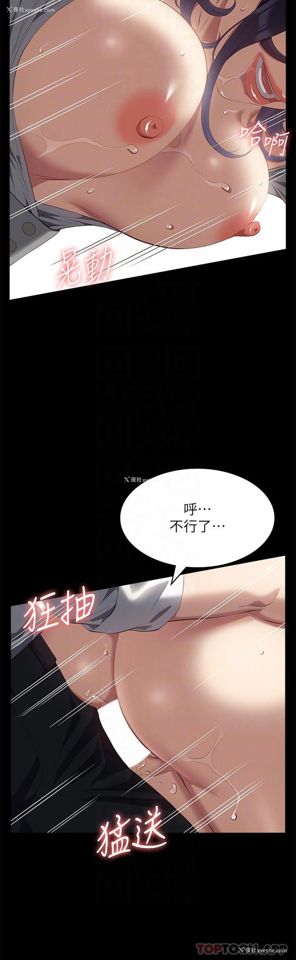 23P - 万能履历表