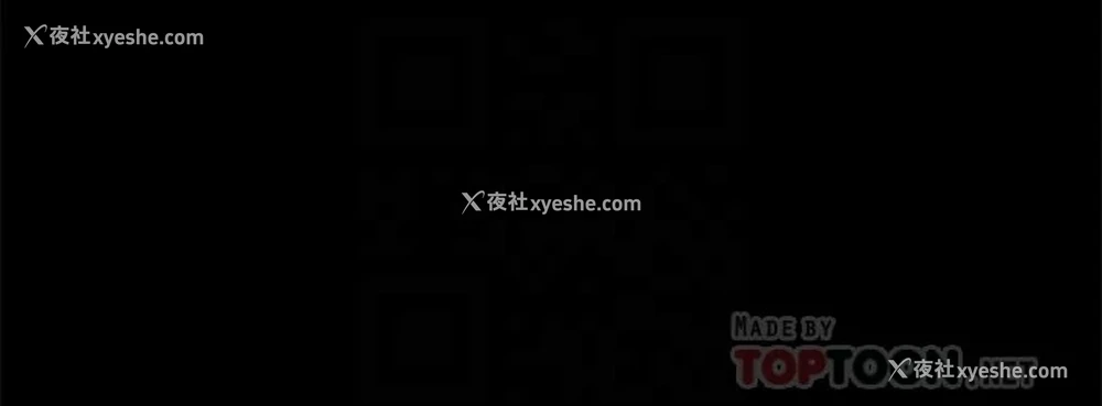 4P - 万能履历表