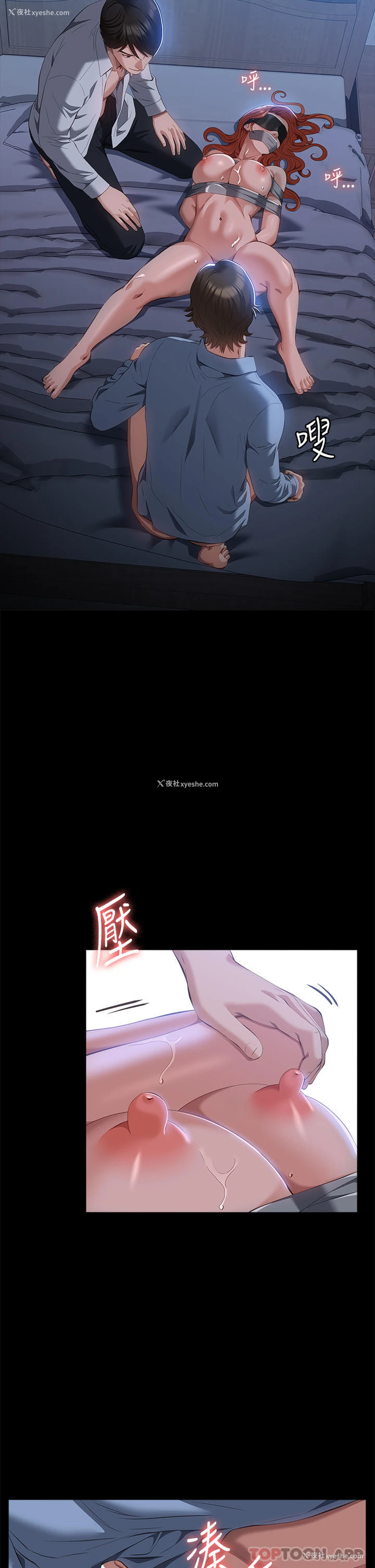 14P - 万能履历表