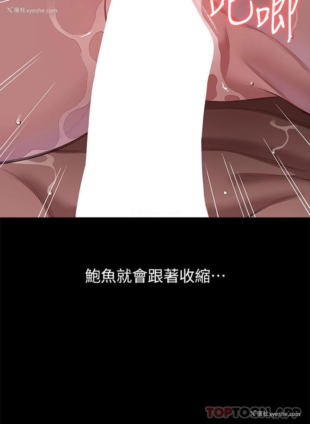 24P - 万能履历表