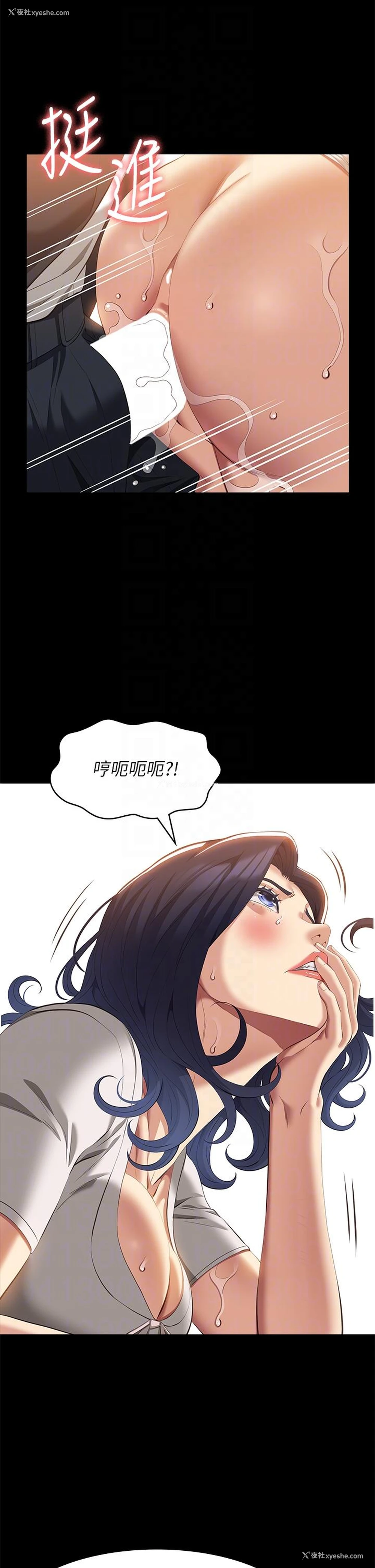 28P - 万能履历表