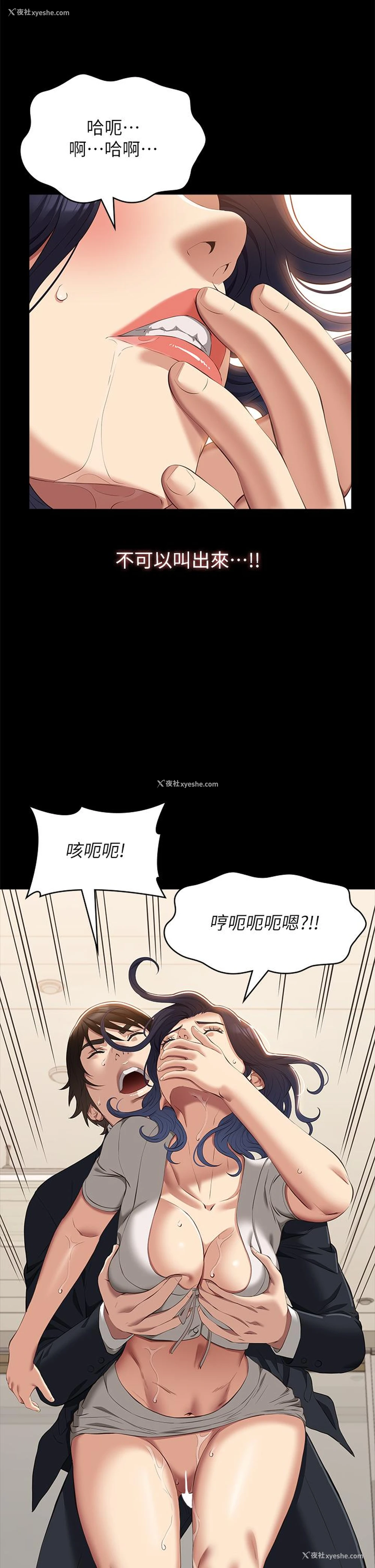 35P - 万能履历表