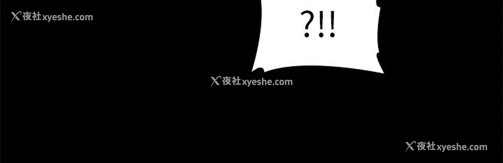 43P - 万能履历表