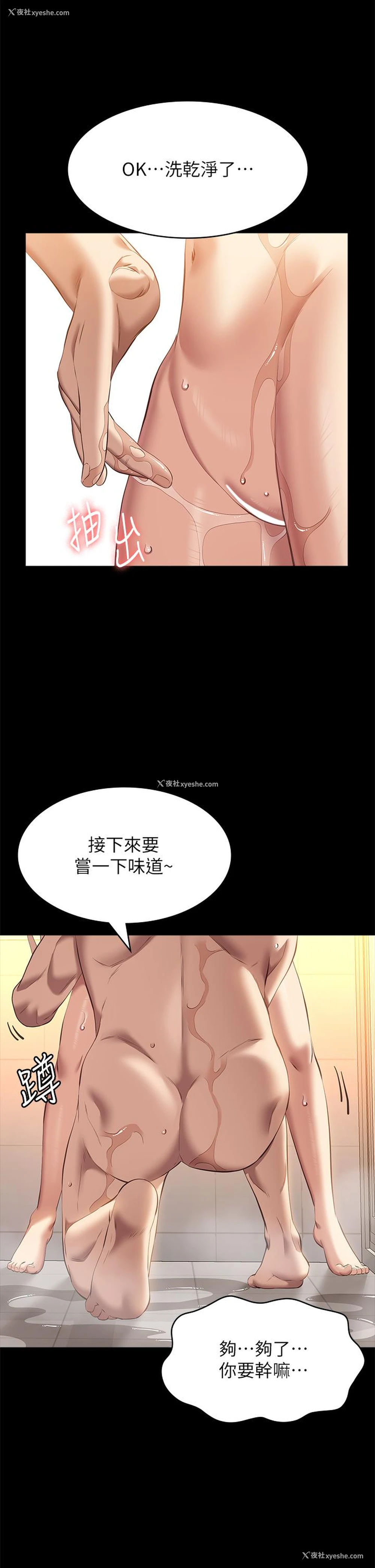 19P - 万能履历表