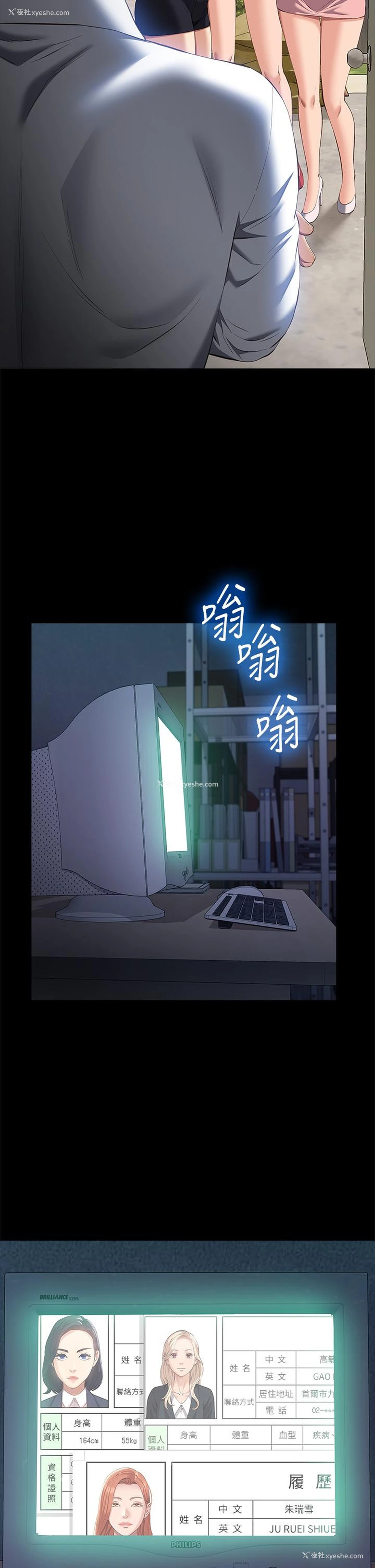 49P - 万能履历表