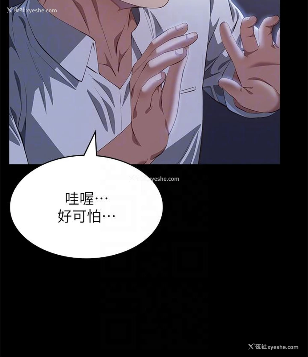 28P - 万能履历表