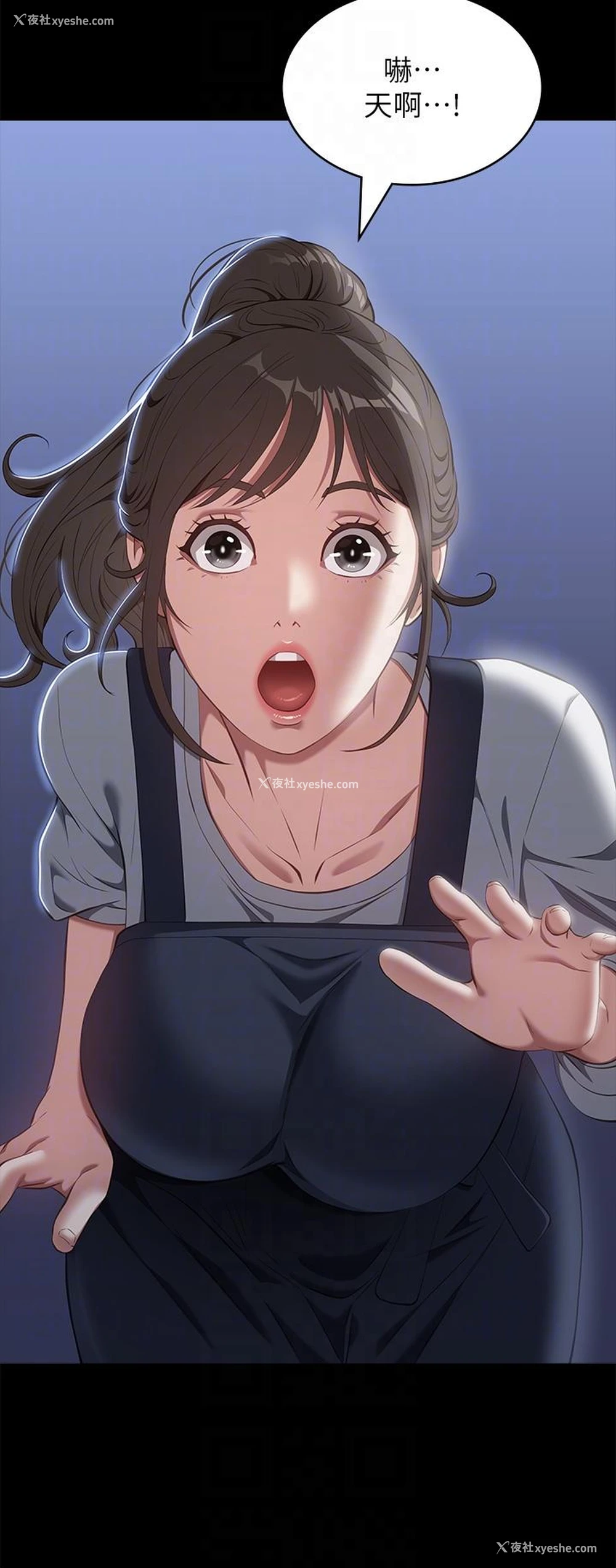 24P - 万能履历表