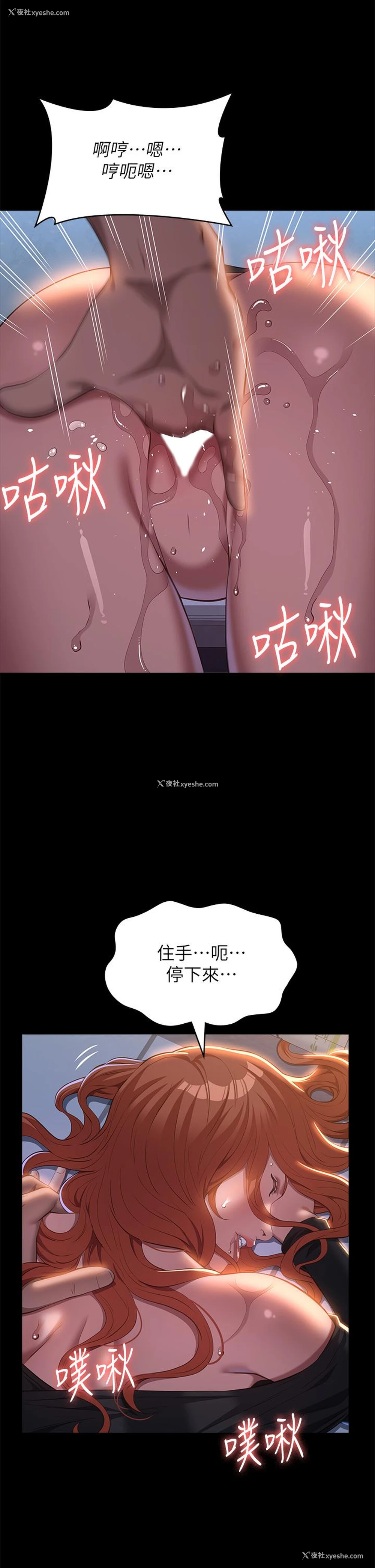 43P - 万能履历表