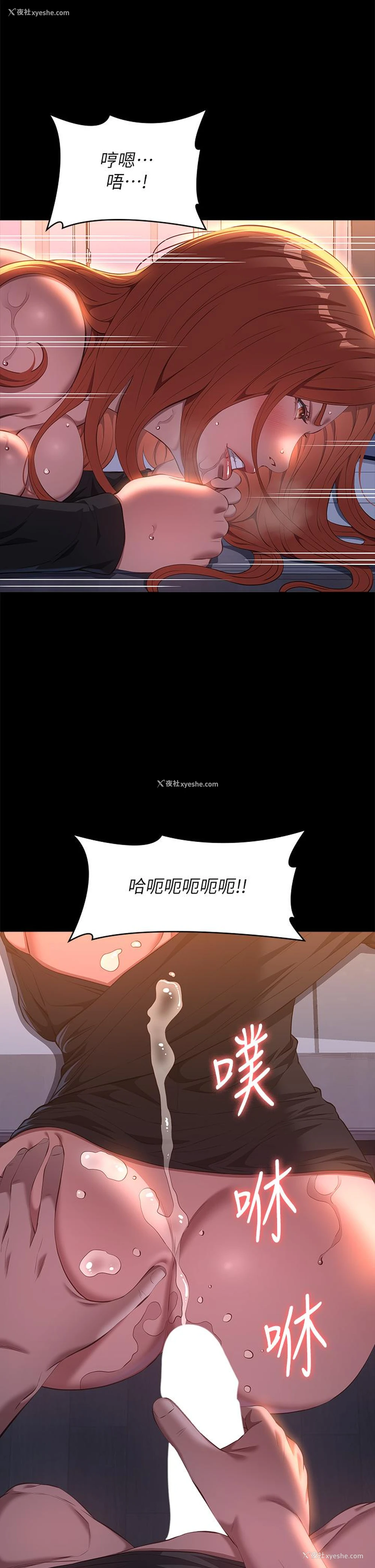 16P - 万能履历表