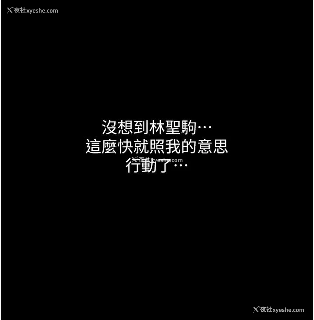 11P - 万能履历表