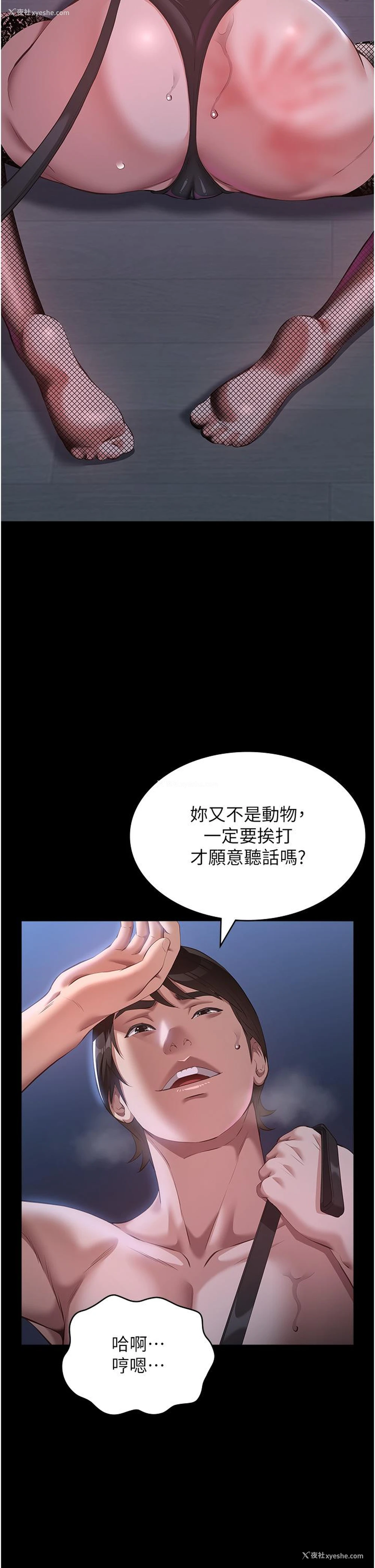 16P - 万能履历表