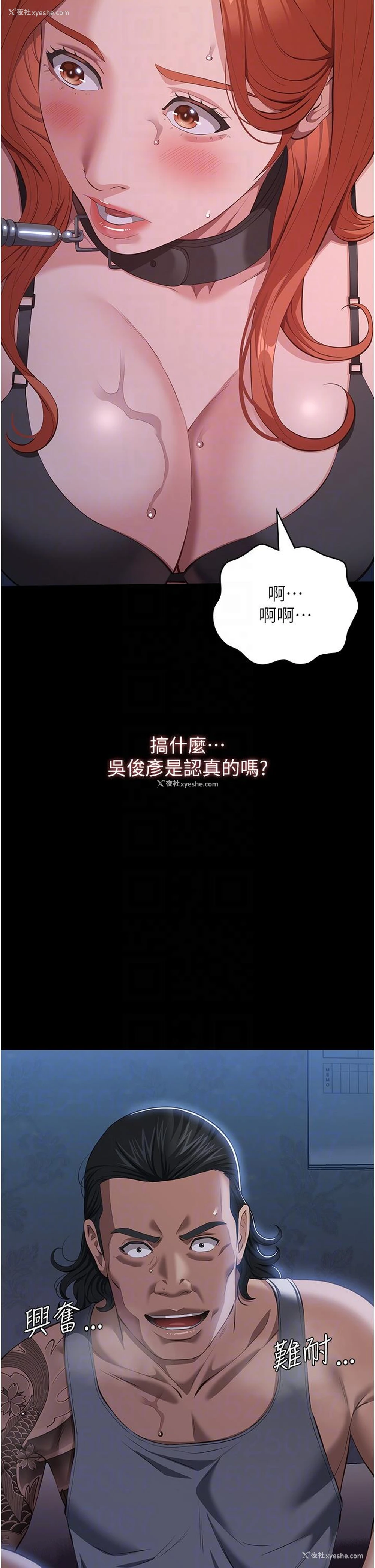 22P - 万能履历表
