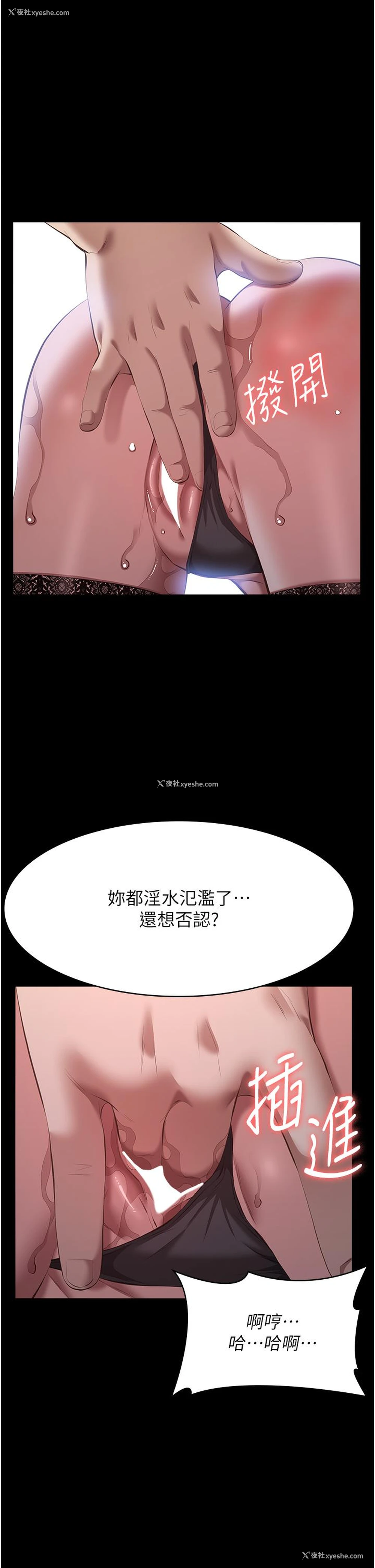 25P - 万能履历表