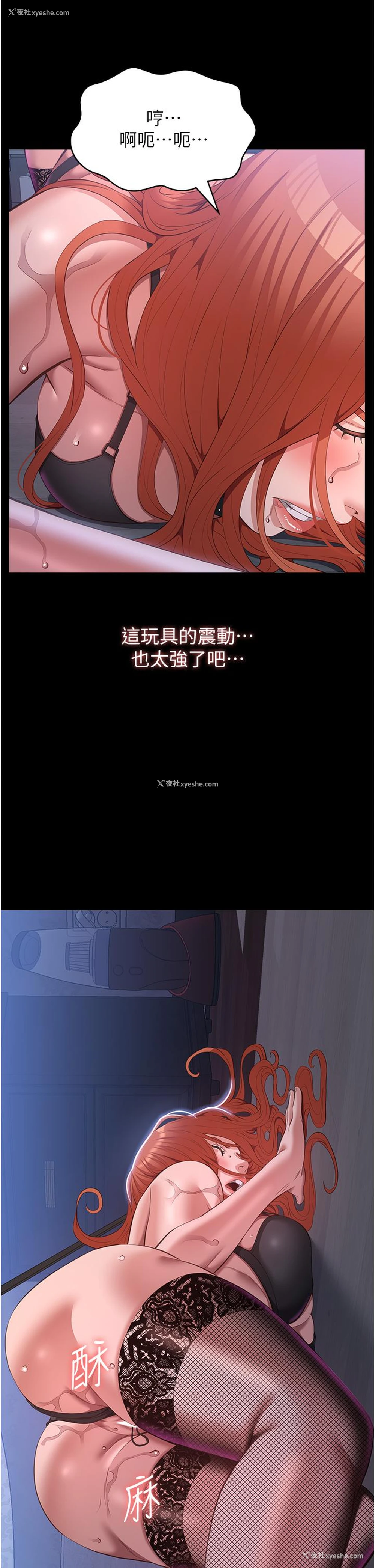 36P - 万能履历表